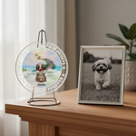 Memorial Rainbow Bridge Ornament for Pet Lovers – Custom Name Acrylic Keepsake