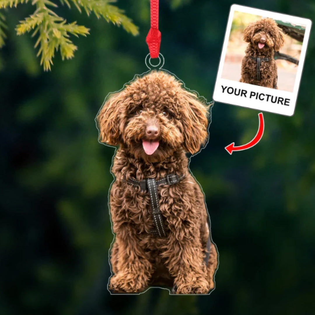 Custom Pet Photo Acrylic Ornament