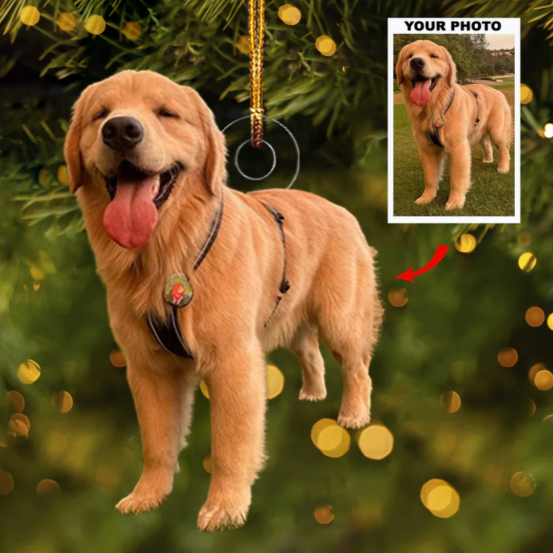 Custom Pet Photo Acrylic Ornament