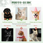 Personalized Pet Photo Angel Wings Ornament