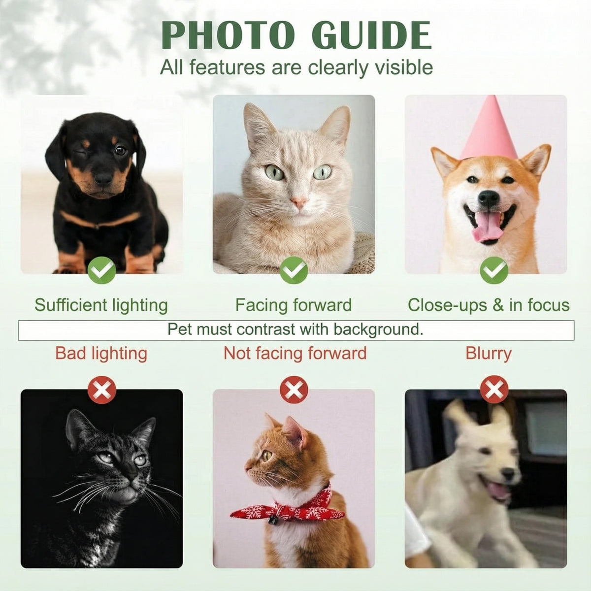 Vibrant Dog Loss Sympathy Gift - Custom Pet Remembrance Wall Art w/ Flowers