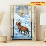 Through the Window to Heaven Custom Pet Portrait