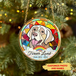 Memorial Stained-Glass Paw Ornament for Pet Lovers – Custom Acrylic Plexiglass Tribute