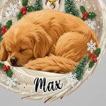 Memorial Angel Wings Ornament for Pet Lovers – Custom Photo Acrylic Keepsake