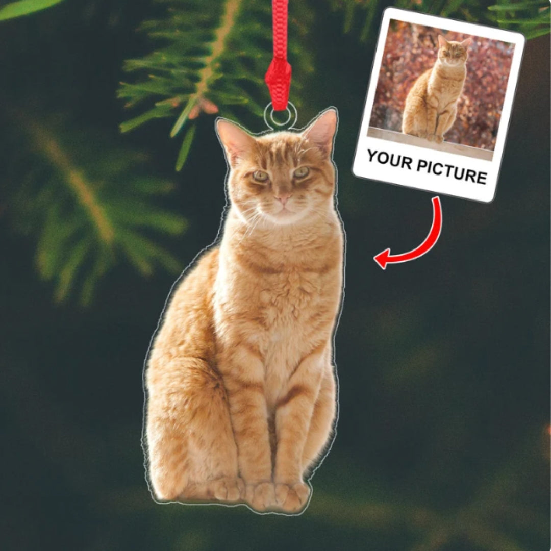 Custom Pet Photo Acrylic Ornament