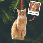 Custom Pet Photo Acrylic Ornament