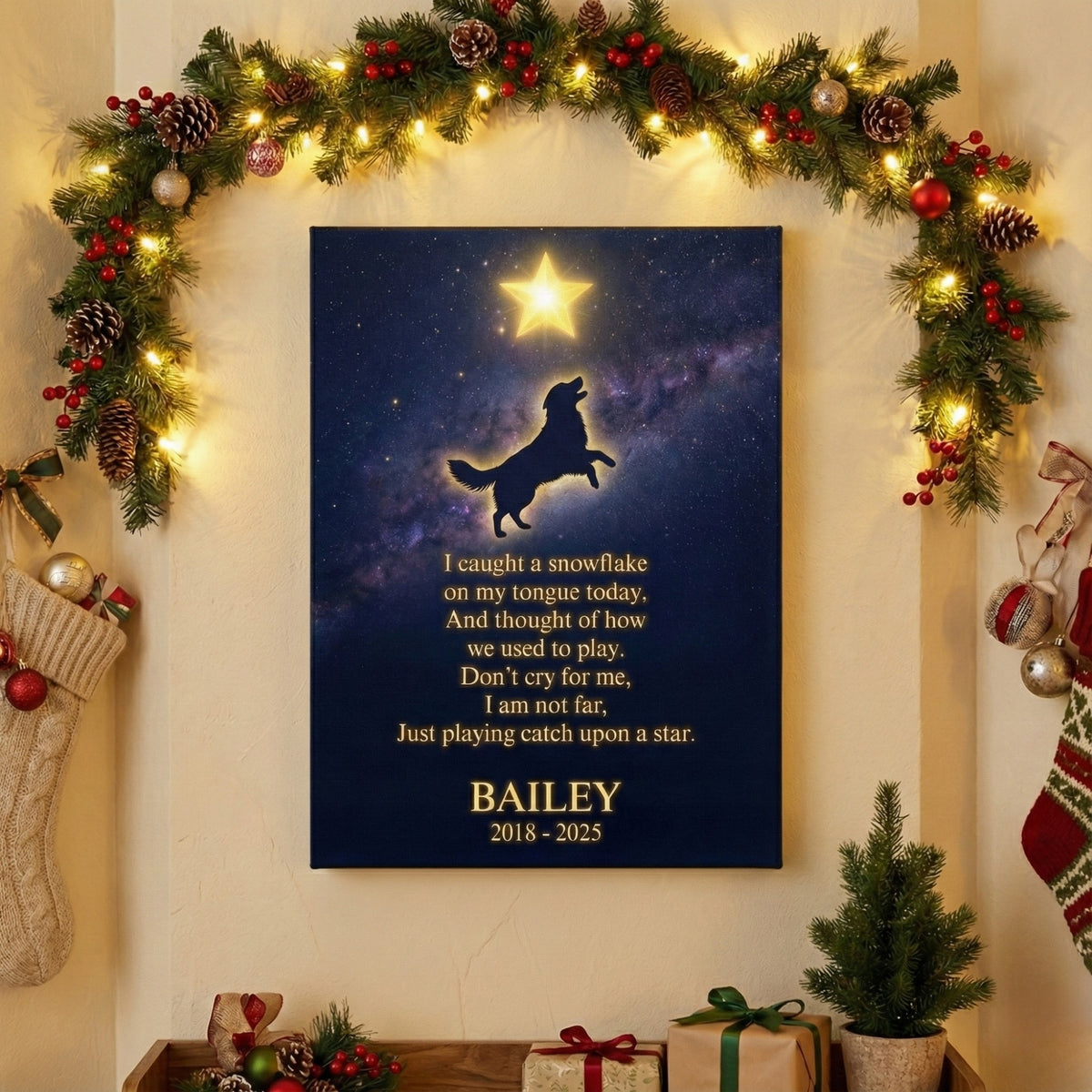 Just Playing Catch Upon a Star - Personalized Dog Memorial Canvas