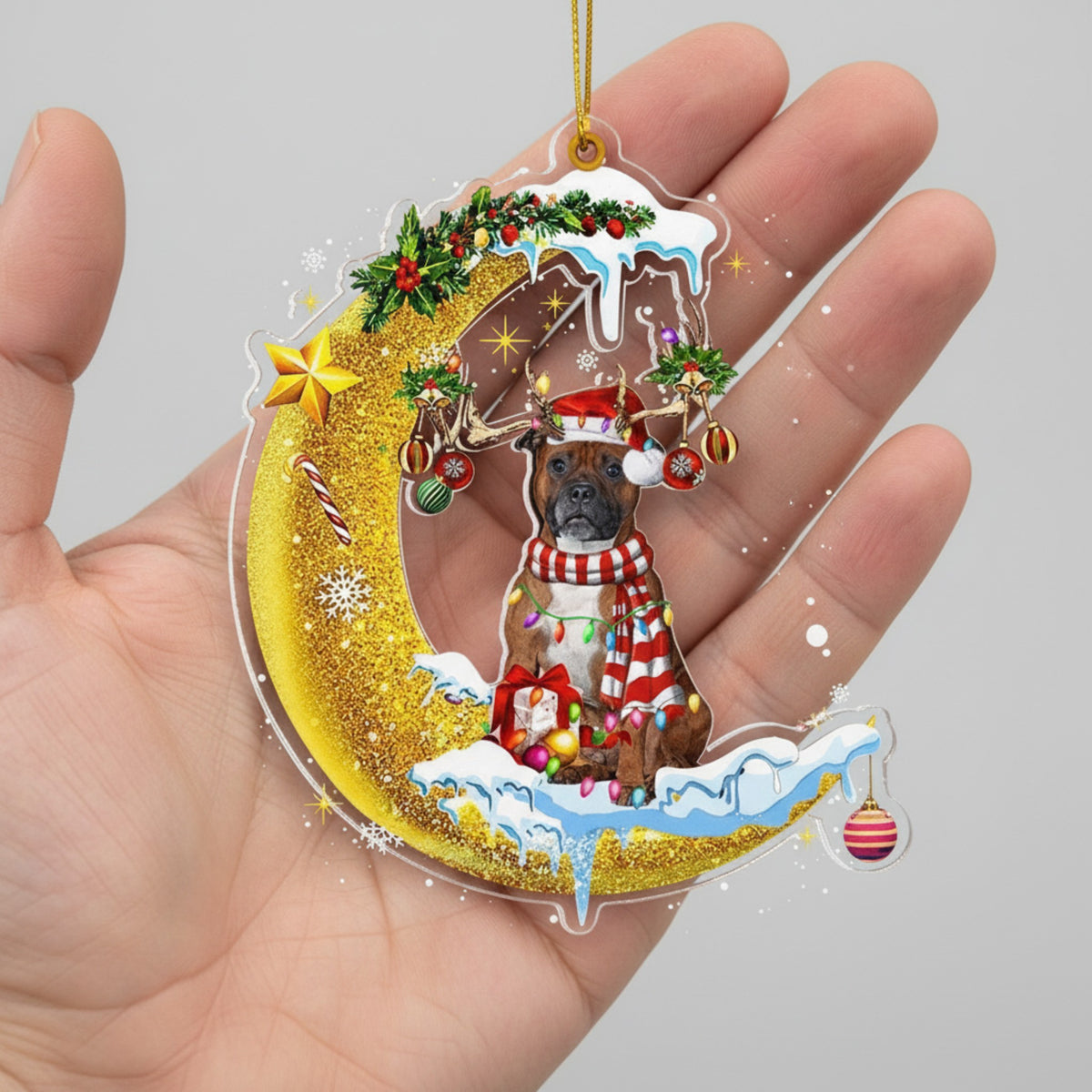 Personalized Pet Memorial Ornament - Custom Dog Christmas Moon & Star Keepsake